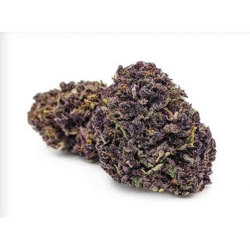FLEURS -Fleurs CBD - Purple Haze Greenhouse LA BROUSSETTE - 1