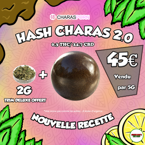 HASH -Hash CBD - Charas Porn 2.0 GREENDOGS - 1