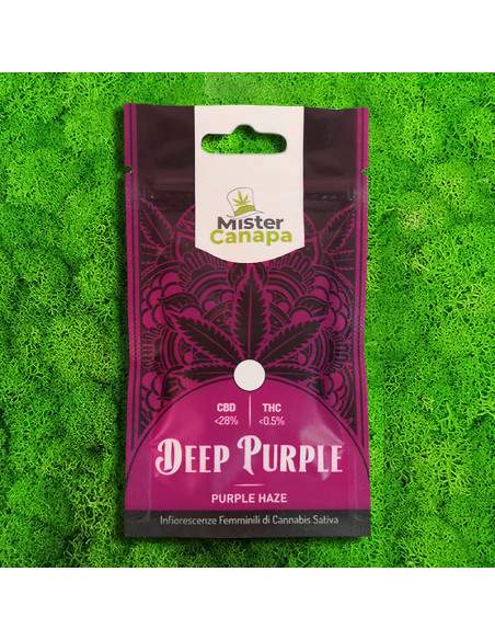 FLEURS -Fleur CBD - Deep Purple | Purple Haze Indoor Mister Canapa - 3