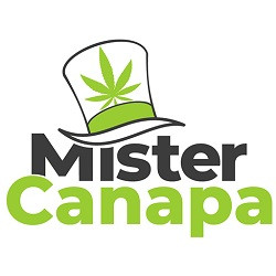 Mister Canapa